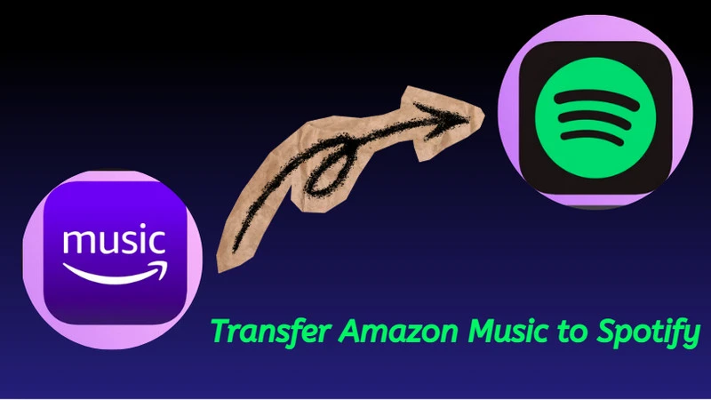 compare playlistgo and soundiiz