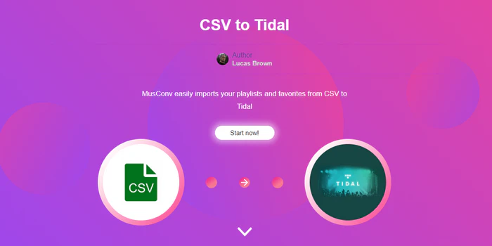MusConv interface for importing CSV playlists to TIDAL