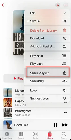 Click the three-dot menu and select Share Playlist in Apple Music
