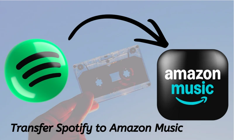 compare playlistgo and soundiiz