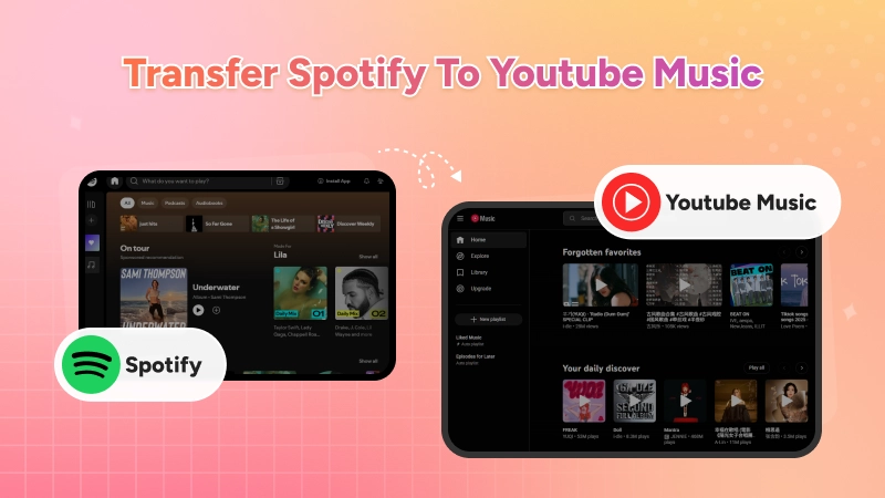 compare playlistgo and soundiiz